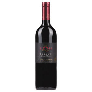 Weingut Leth - Blauer Zweigelt "GIGAMA" Grande Reserve